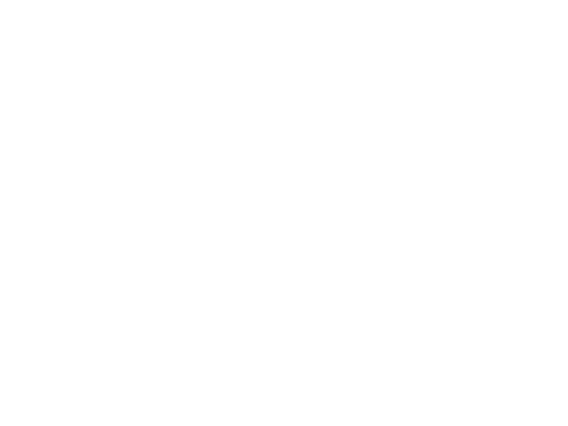The Pizza Pro Logo